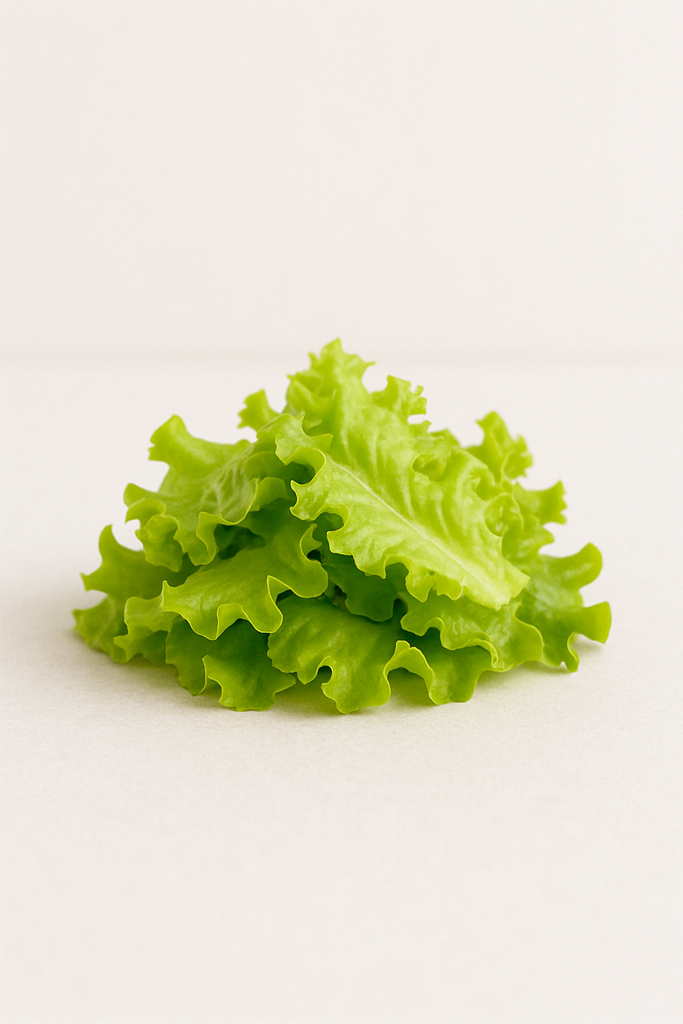 EXTRA LECHUGA