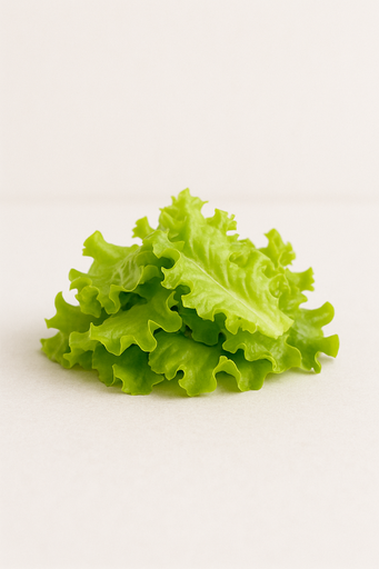 EXTRA LECHUGA
